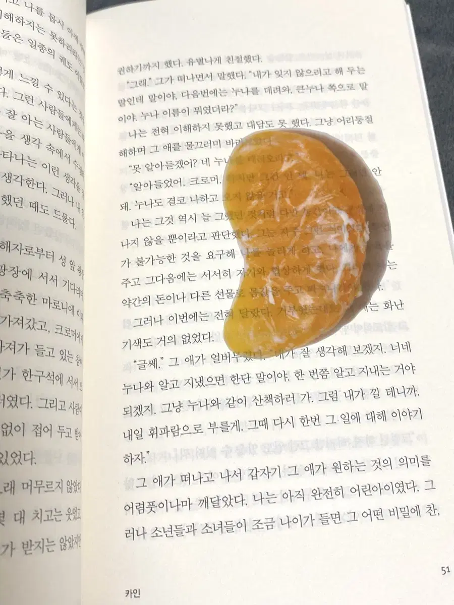 이옥토 귤 책갈피